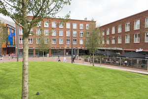 Een treffend voorbeeld van het groene karakter van Cadenza
